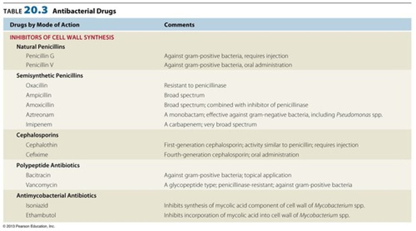 <p>Antibiotics that prevent the formation of bacterial cell walls.</p>