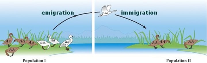 <p>act of leaving a habitat or place with the intent of moving to a different habitat or place</p>