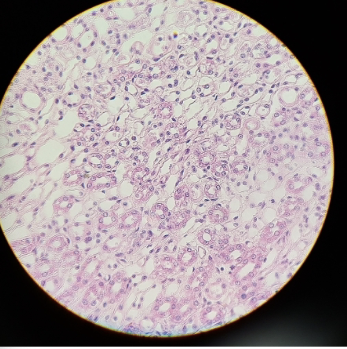 <p>what is this? </p>