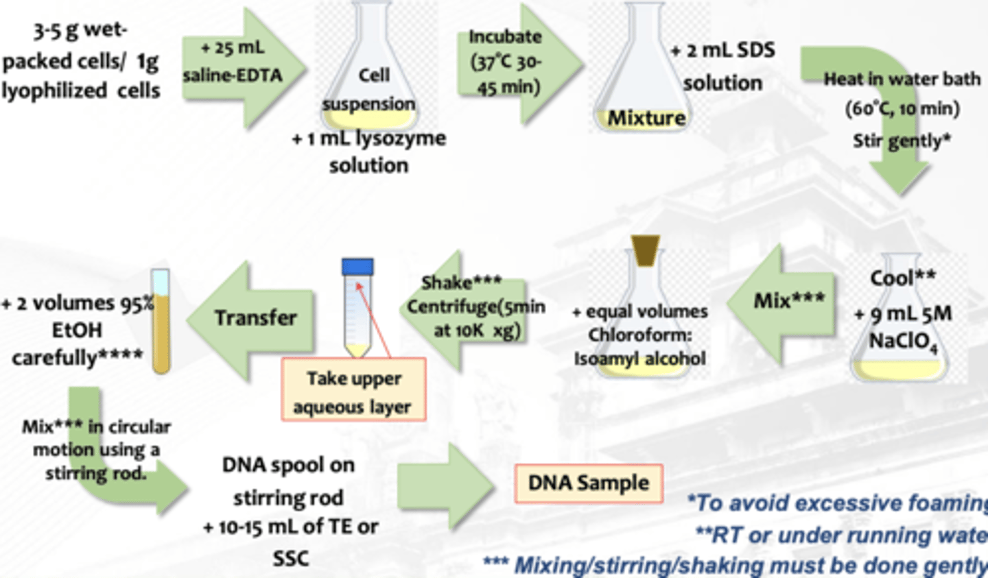 <p>What isolation is this?</p>
