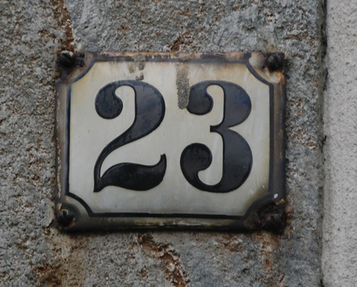 <p>twenty three</p>