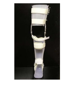 <p><span data-name="black_small_square" data-type="emoji">▪</span> Double metal upright</p><p><span data-name="black_small_square" data-type="emoji">▪</span> Centered knee joint</p><p><span data-name="black_small_square" data-type="emoji">▪</span> Pretibial strap</p><p><span data-name="black_small_square" data-type="emoji">▪</span> Choice of locks, but usually drop </p><p>locks</p><p><span data-name="black_small_square" data-type="emoji">▪</span> UCB insert or shoe or plastic </p><p>solid AFO</p>
