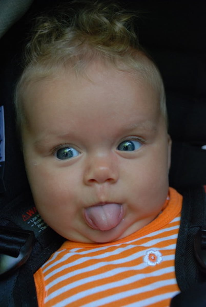 <p>manipulates food for chewing and swallowing</p>