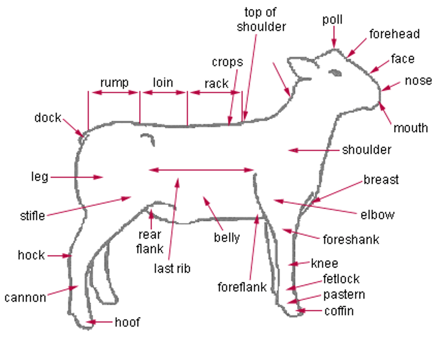 <p>Poll</p>