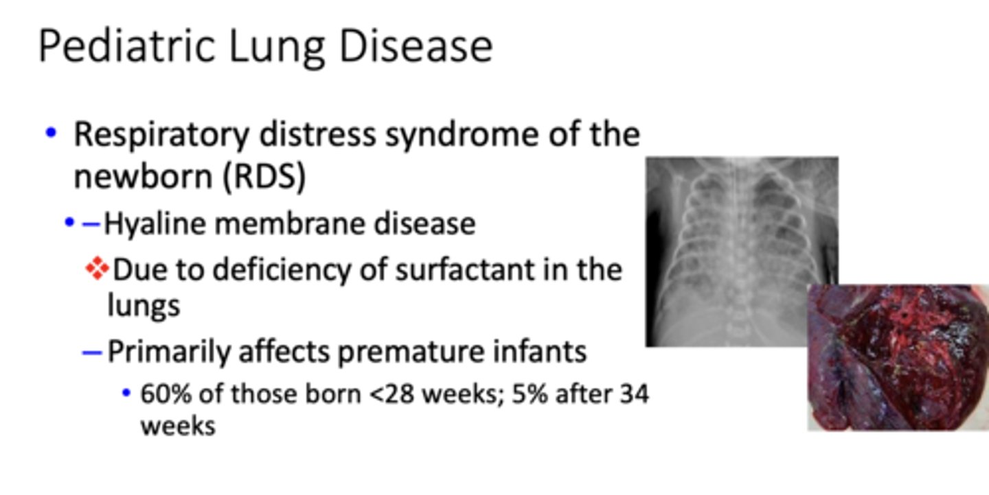 <p>Respiratory distress syndrome of the newborn (RDS)</p>