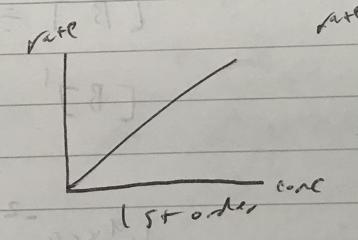 <p>Identify which order this rate graph represents</p>