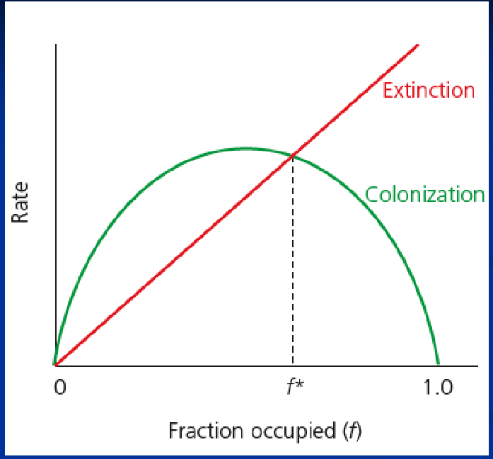 <p>pe = probability that a population in an occupied patch will become locally extinct</p><p>f = fraction occupied</p><p>c  = measure of how much the probability of colonization changes with “f”</p><p></p><ul><li><p>put together:<br>df/dt = cf (1 - f) - pef</p></li></ul><p></p>