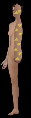 <p>what direction is this?</p>