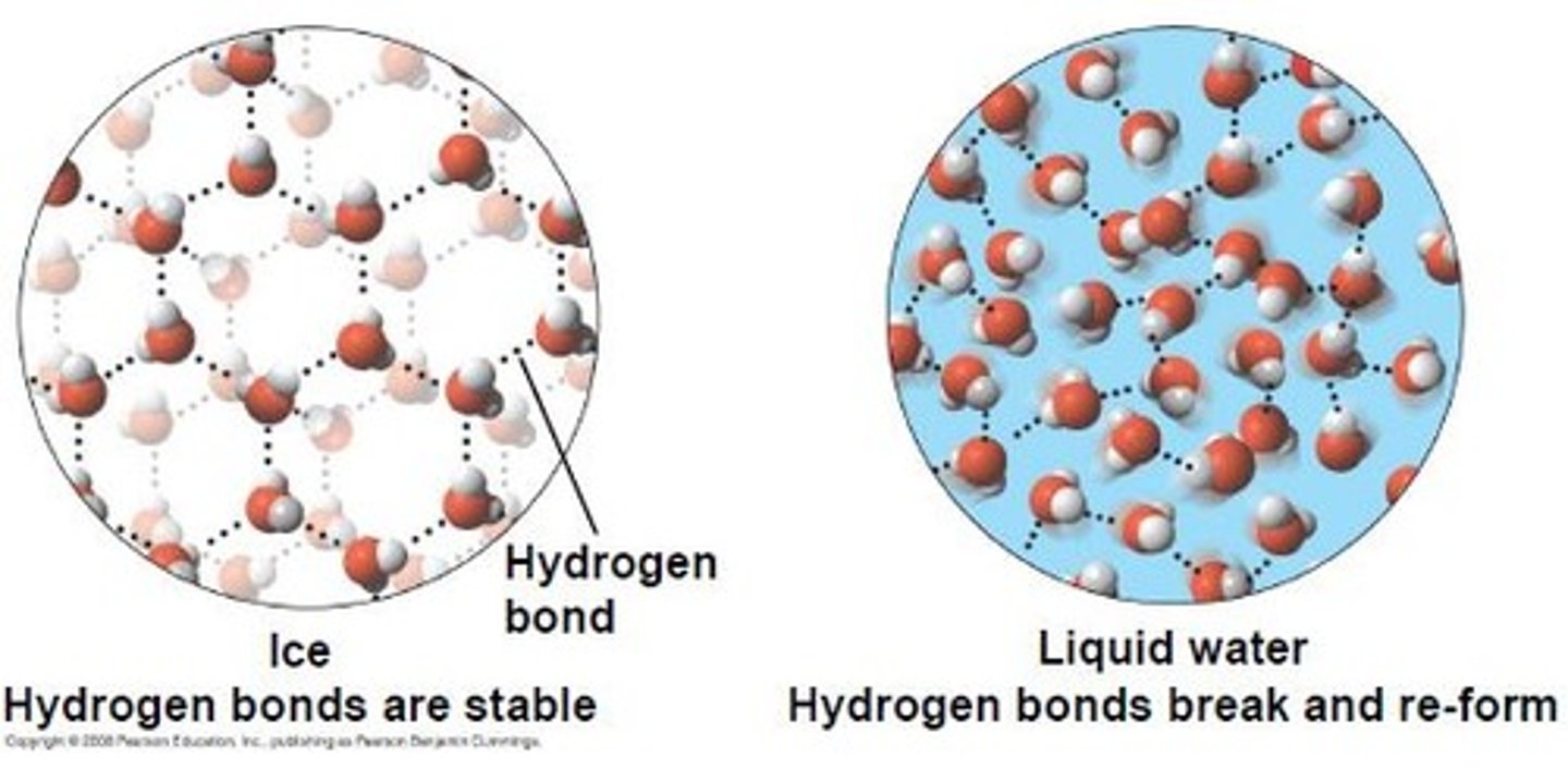 <p>Because molecules of water are farther apart in ice than in liquid water. This makes ice less dense that liquid water. This allows for organisms to live underwater in frozen climates.</p>