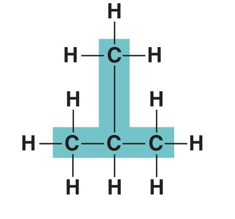 <p>The chain of carbon atoms in an organic molecule</p>