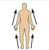 <p>Proximal</p>