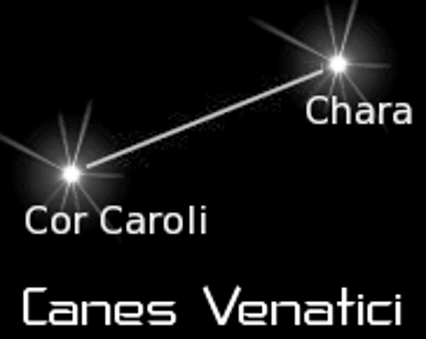 <p>hunting dogs / brightest star: Cor Caroli (α CVn)</p>