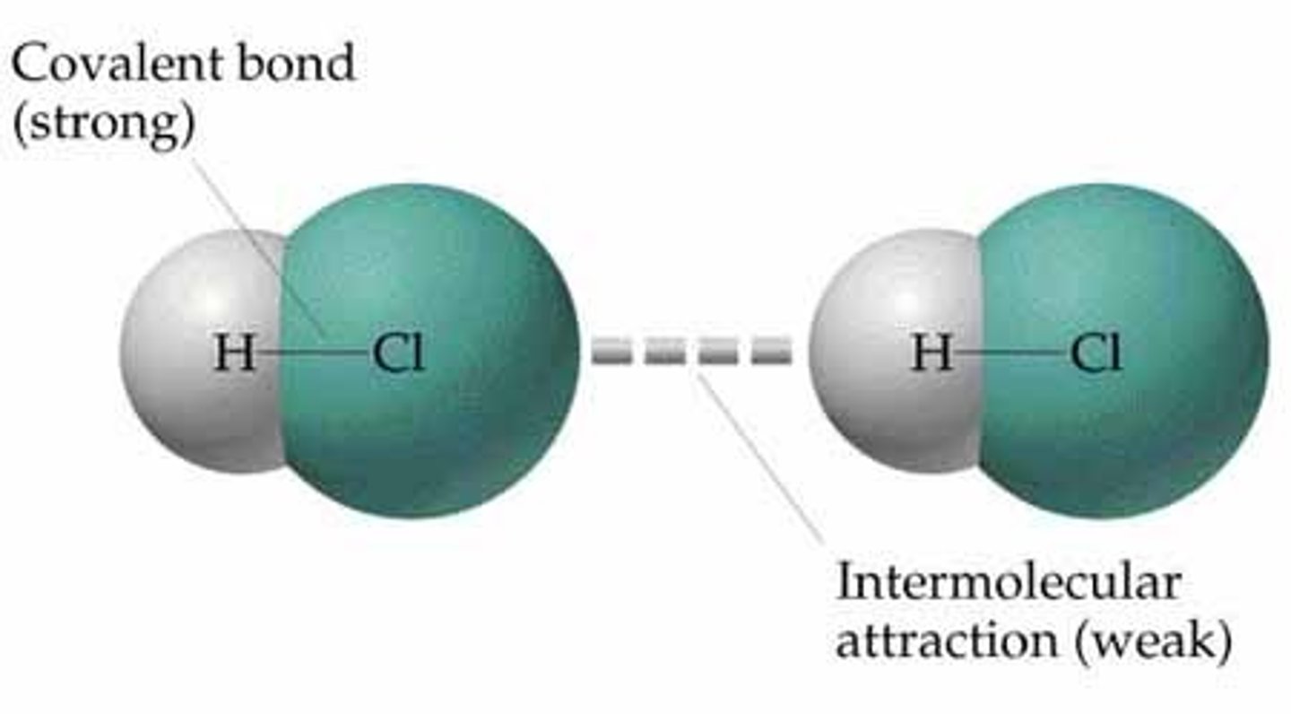 <p>- forces of attraction between molecules<br>- caused by polarity and movement of e- within bond</p>