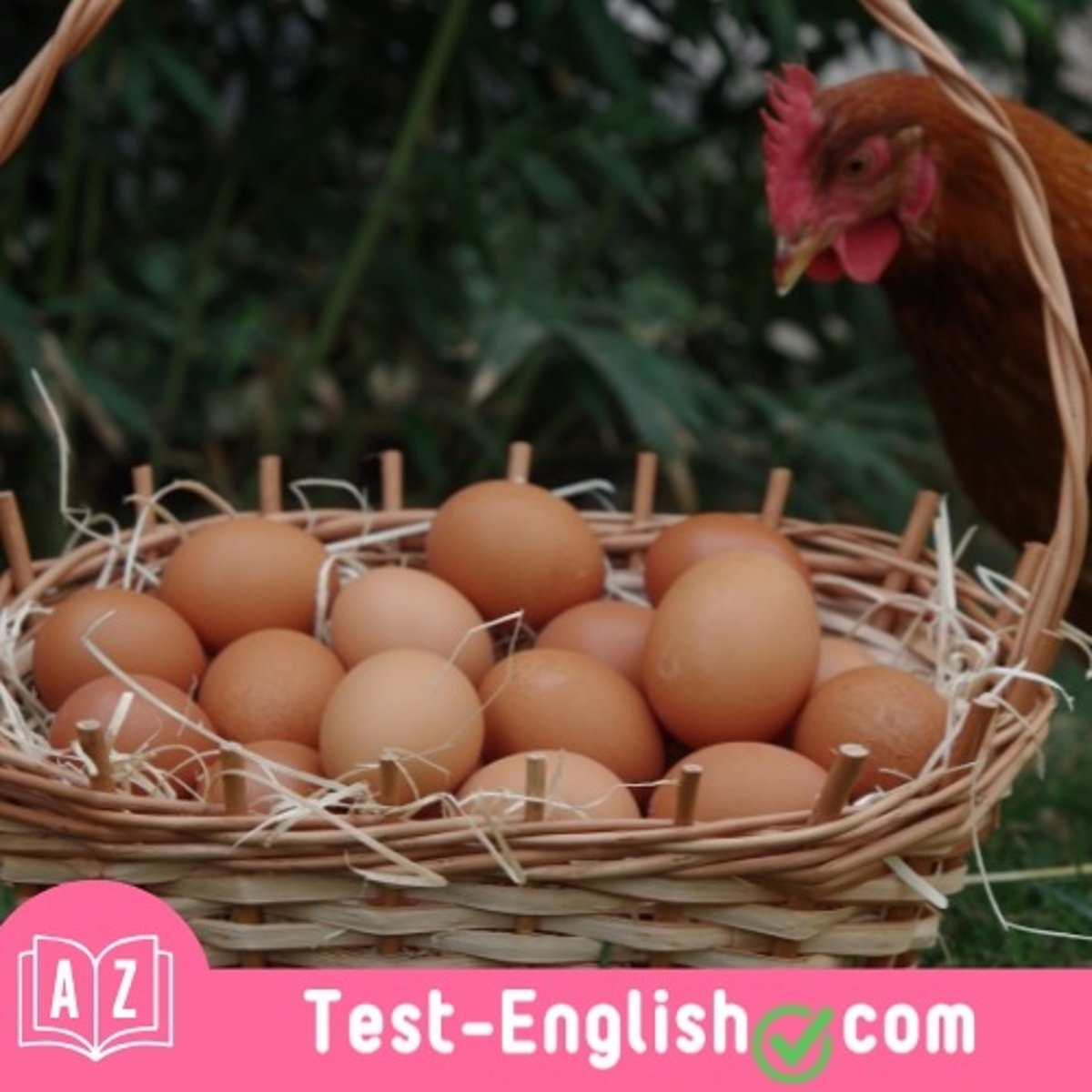 <p>I collected a _____ of eggs while I was feeding the chickens.</p>