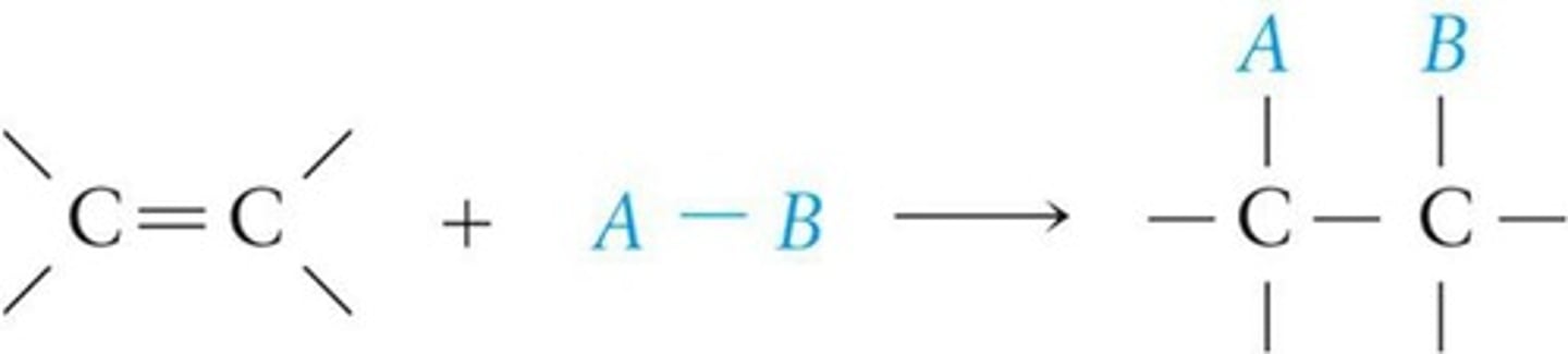 <p>Compounds add to alkenes at double bonds.</p>