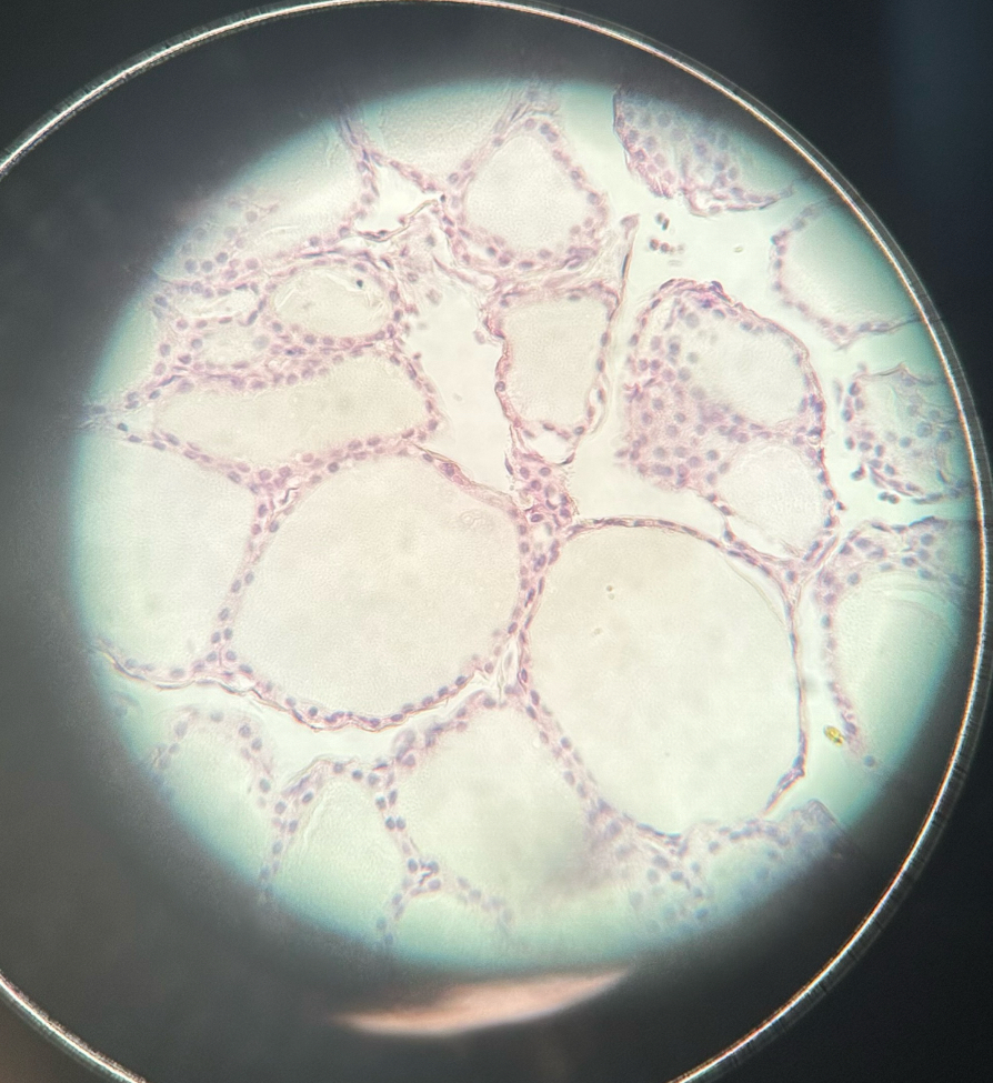 <p><span><span>slide</span></span></p>