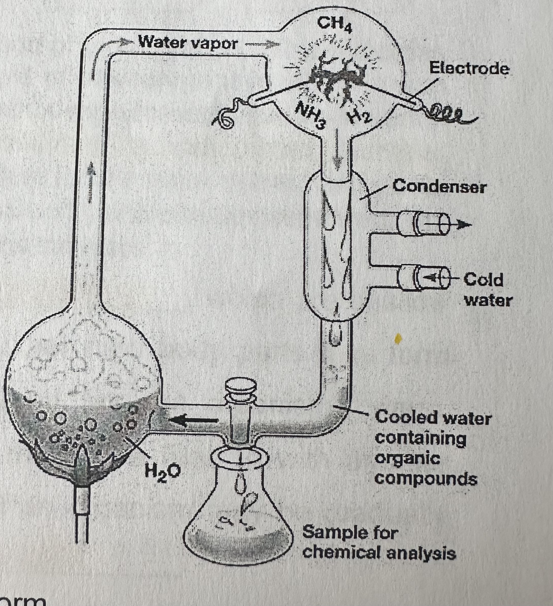 <p>Filled a apparatus with <strong>water vapor</strong>, <strong>methane, hydrogen</strong>, and <strong>ammonia</strong>, passed an <strong>electric spark (lighting)</strong> through the mixture, and <strong>heated the mixture (earth’s heat)</strong>. A liquid trap collected molecules formed in the apparatus.</p>