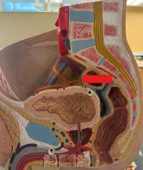 <p>What is the name of the red box?</p>