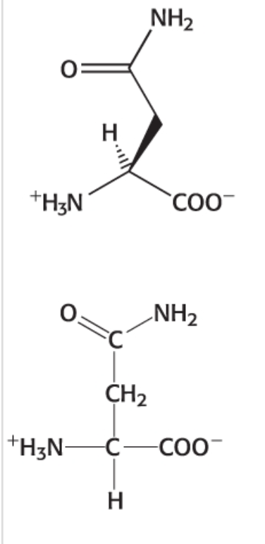 <p>Category: Polar neutral </p>