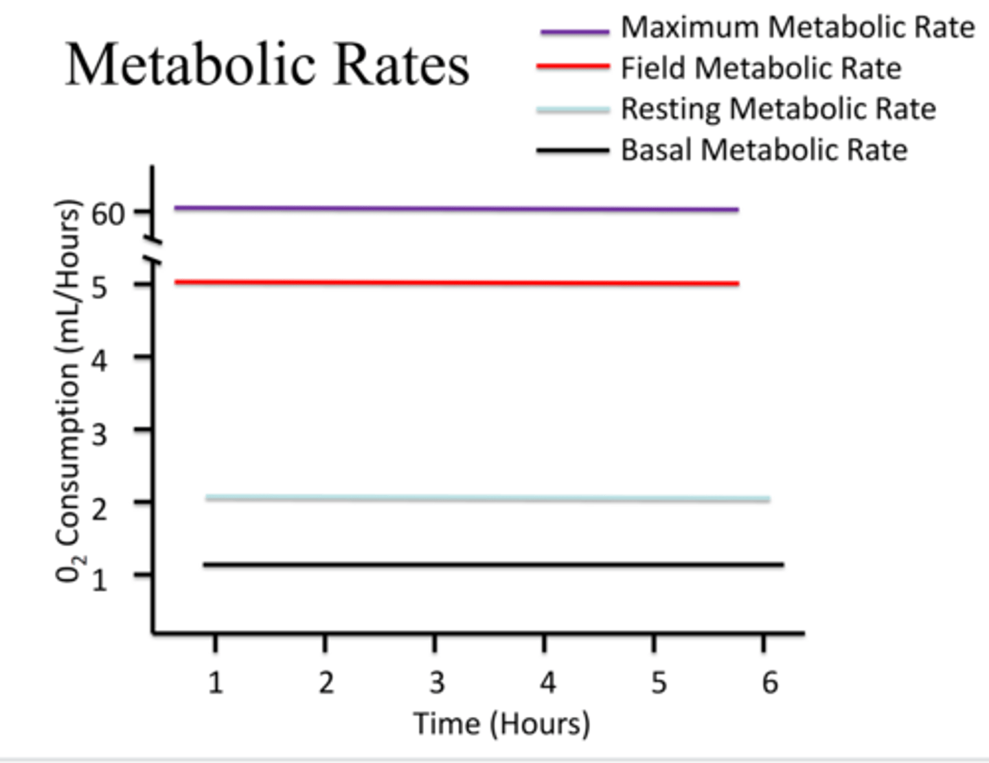 <p>1. maximum metabolic rate</p><p>2. field metabolic rate</p><p>3. resting metabolic rate</p><p>4. basal metabolic rate</p>