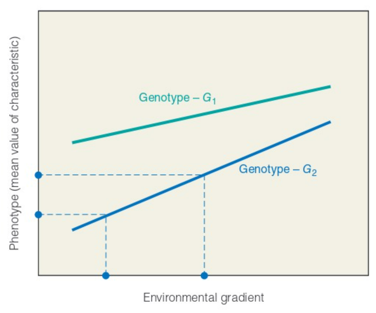 <p>what can be understood from this graph?</p>