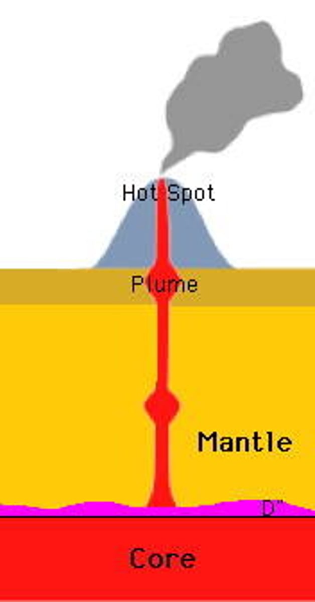 <p>a column of very hot rock rising up through the mantle</p>