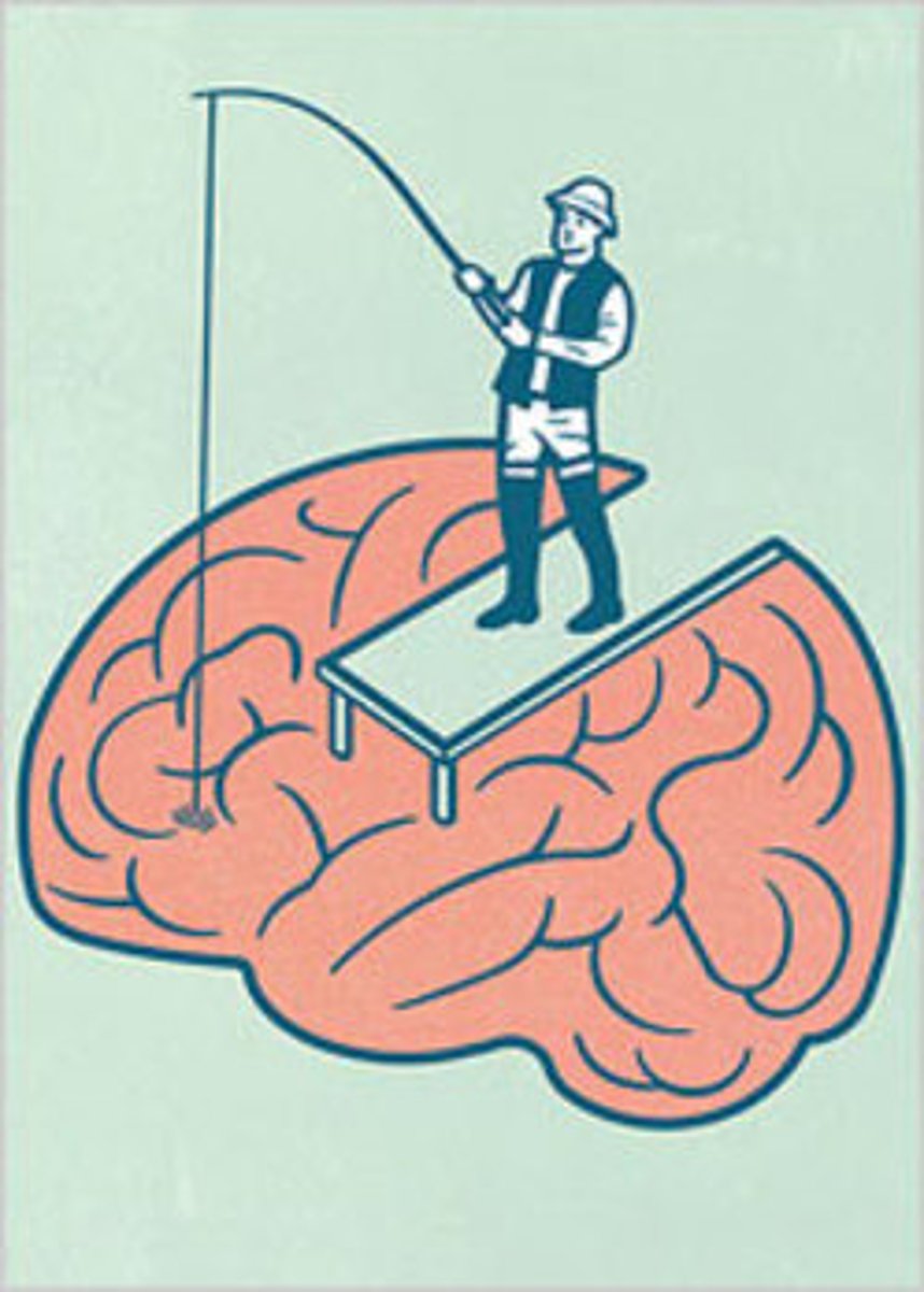 <p>the process of bringing to mind information that has been previously encoded and stored</p>