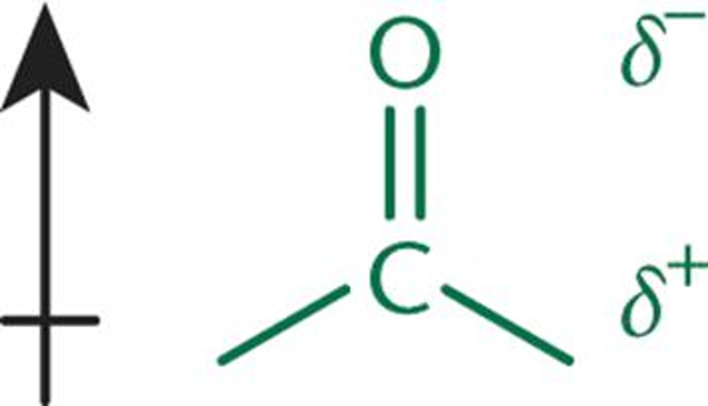<p>- dipole of carbonyl is stronger of alcohol bc of C=O</p><p>- BP are elevated because of increased intermolecular attractions, less than OH's however bc no H-bonding</p><p>- act as electrophiles, good targets for nucleophiles: due to e-withdrawing properties of the carbonyl oxygen, leaves partial positive charge on Carbon</p><p>- aldehydes are usually more reactive toward nucleophiles bc less steric hindrance + fewer e-donating alkyl groups</p>