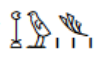 <p>herbs; plants</p>