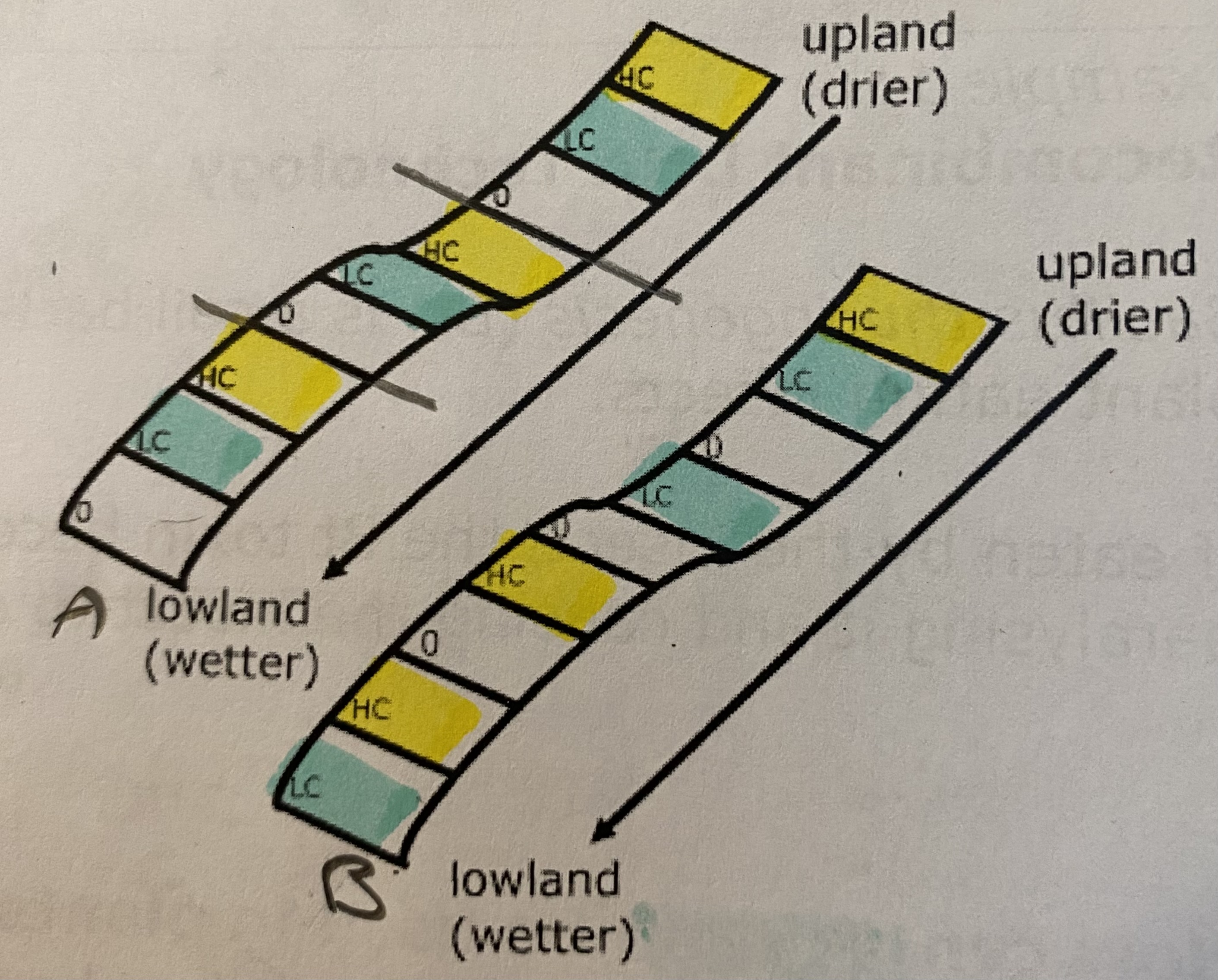 <p></p>