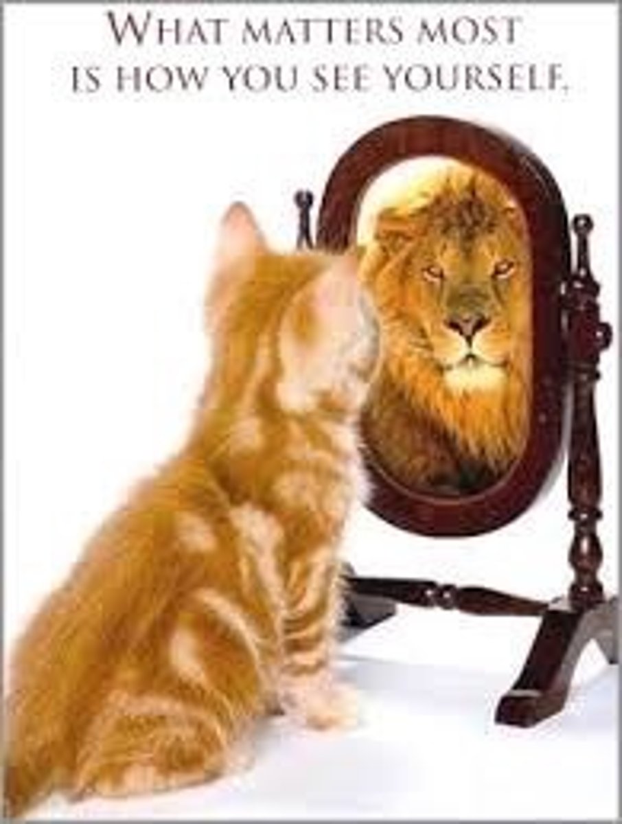 <p>our understanding and evaluation of who we are</p>