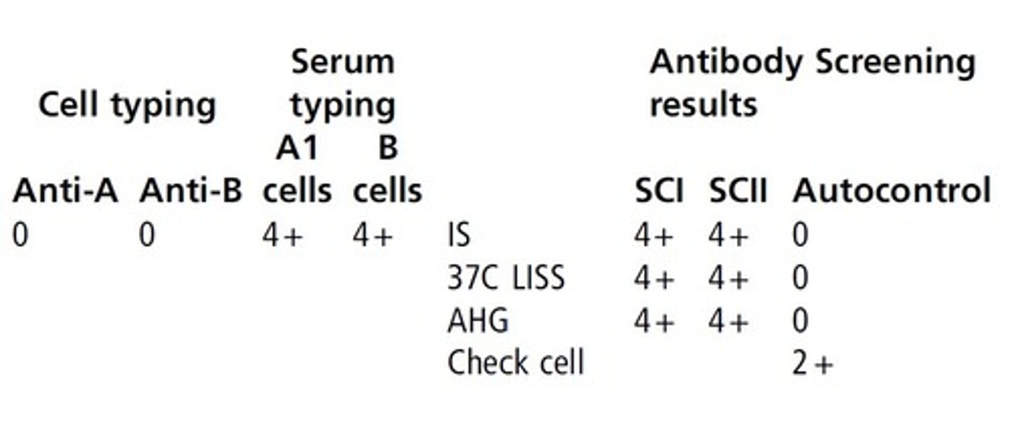 <p>c. Oh phenotype</p><p>Persons of the Oh phenotype (Bombay) type as</p><p>group O, but also possess potent anti-H. This</p><p>anti-H is usually detected in tests using group O</p><p>cells (antibody screen or crossmatch), but may</p><p>be noted in ABO grouping, because the reverse</p><p>cells could be hemolyzed instead of just</p><p>agglutinated.</p>