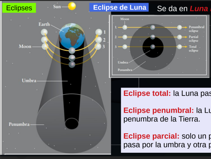 <p>se da en la luna llena —&gt; en la opsicion</p><ul><li><p>puede ser visto en cualquier lugar donde se ve la luna (ya que la tierra es mayor que la luna asique lo va a cubir en su mayoria de la orbita lunar)</p></li><li><p>duracion ~5h, totalidad 1.3h</p></li></ul><p></p><ul><li><p>eclipse total —&gt; la luna pasa por la umbra</p><ul><li><p>no desaparece por completo ya que pasan la luz roja (onda larga) —&gt; causa en color rojizo</p></li></ul></li><li><p>eclipse penumbral —&gt; la luna pasa por la penumbra de la Tierra</p></li><li><p>eclipse parcial —&gt; solo una parte de la luna pasa por la umbra y otra por la penumbra</p></li></ul><p></p>