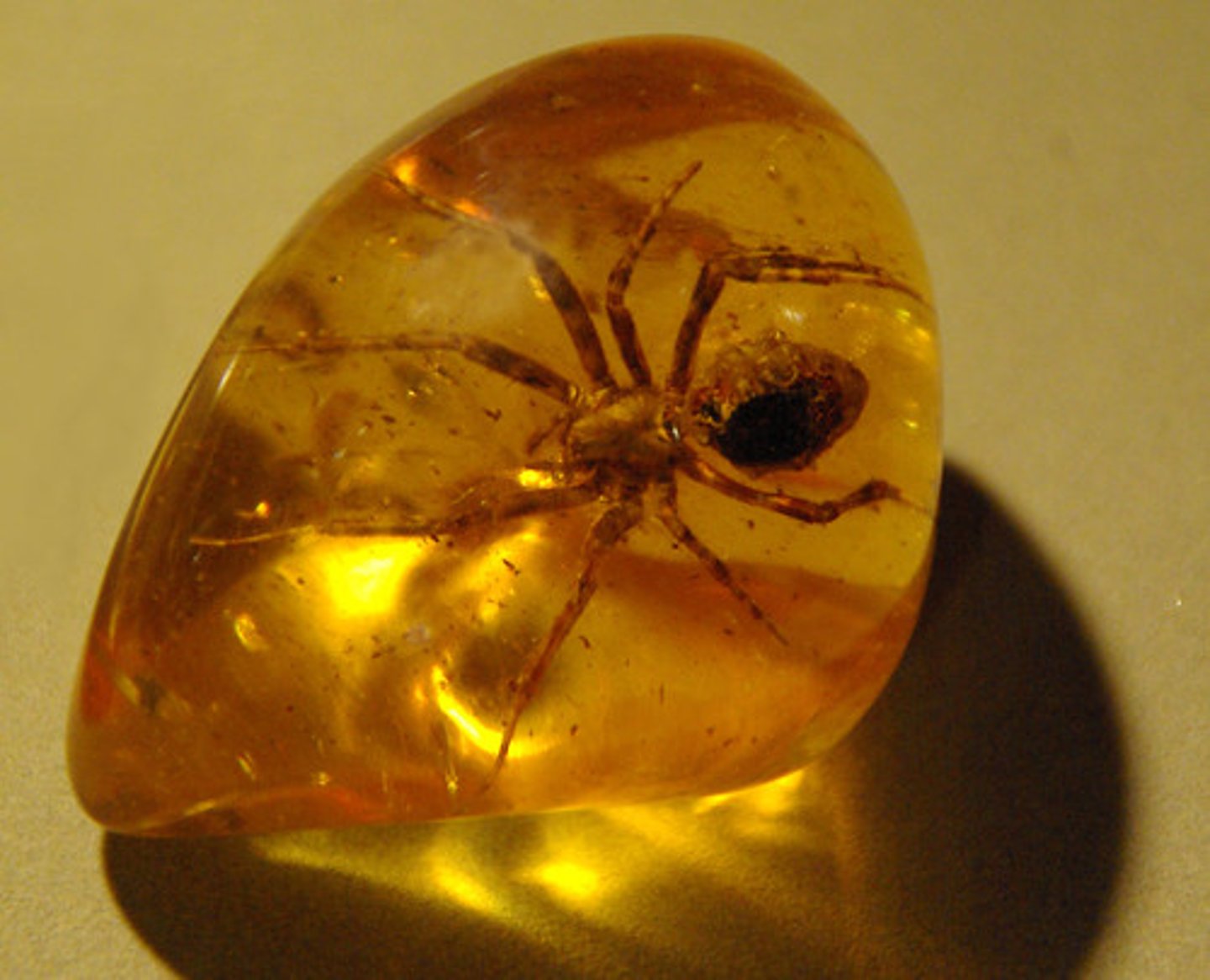 <p>fossilized tree sap, widely used for jewellery; merevaik</p>