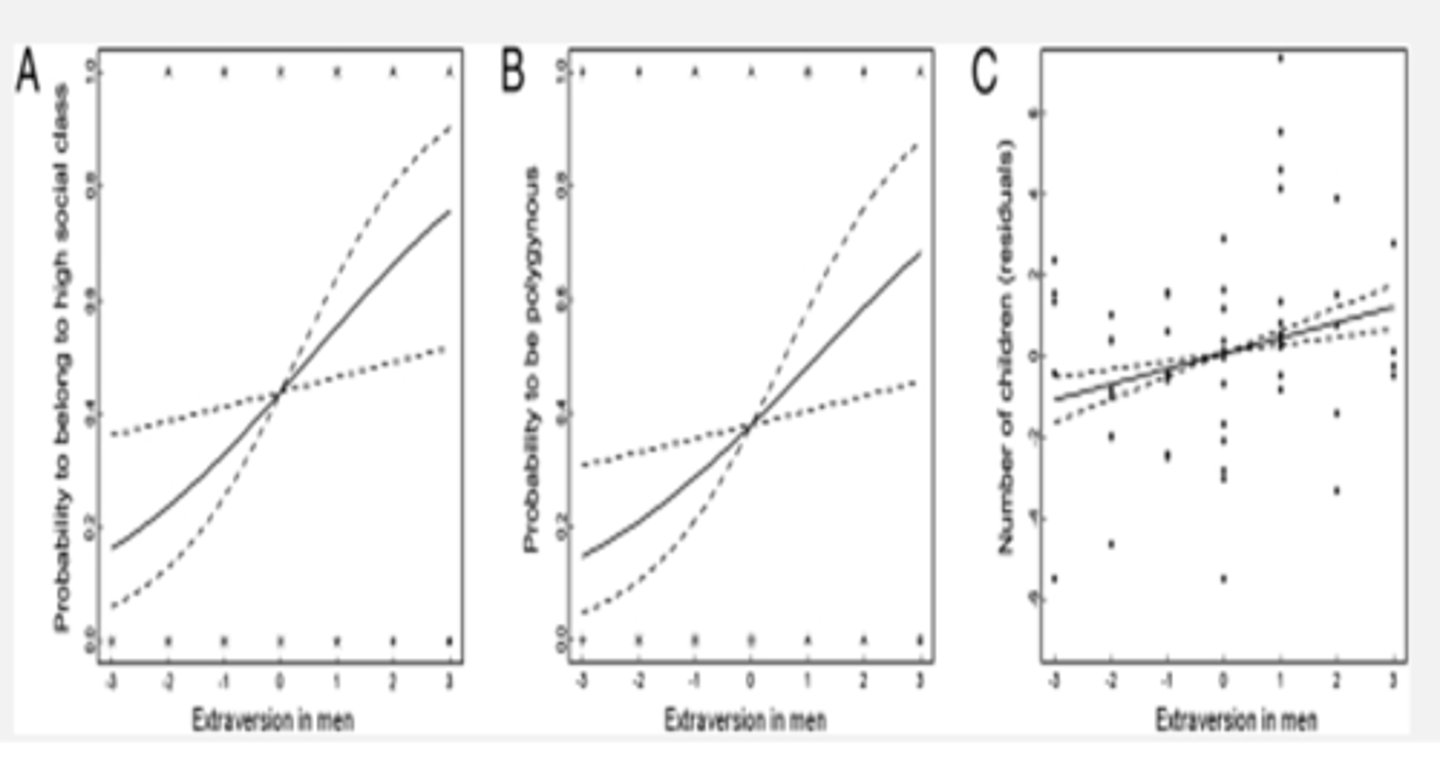<p>Higher extraversion in men is linked to greater social status and more children</p><p>- need to have the resources available to raise children.</p>