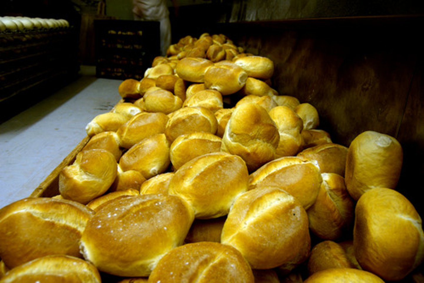 <p>There was an ________ of food at the wedding.</p><p>изобилие</p>