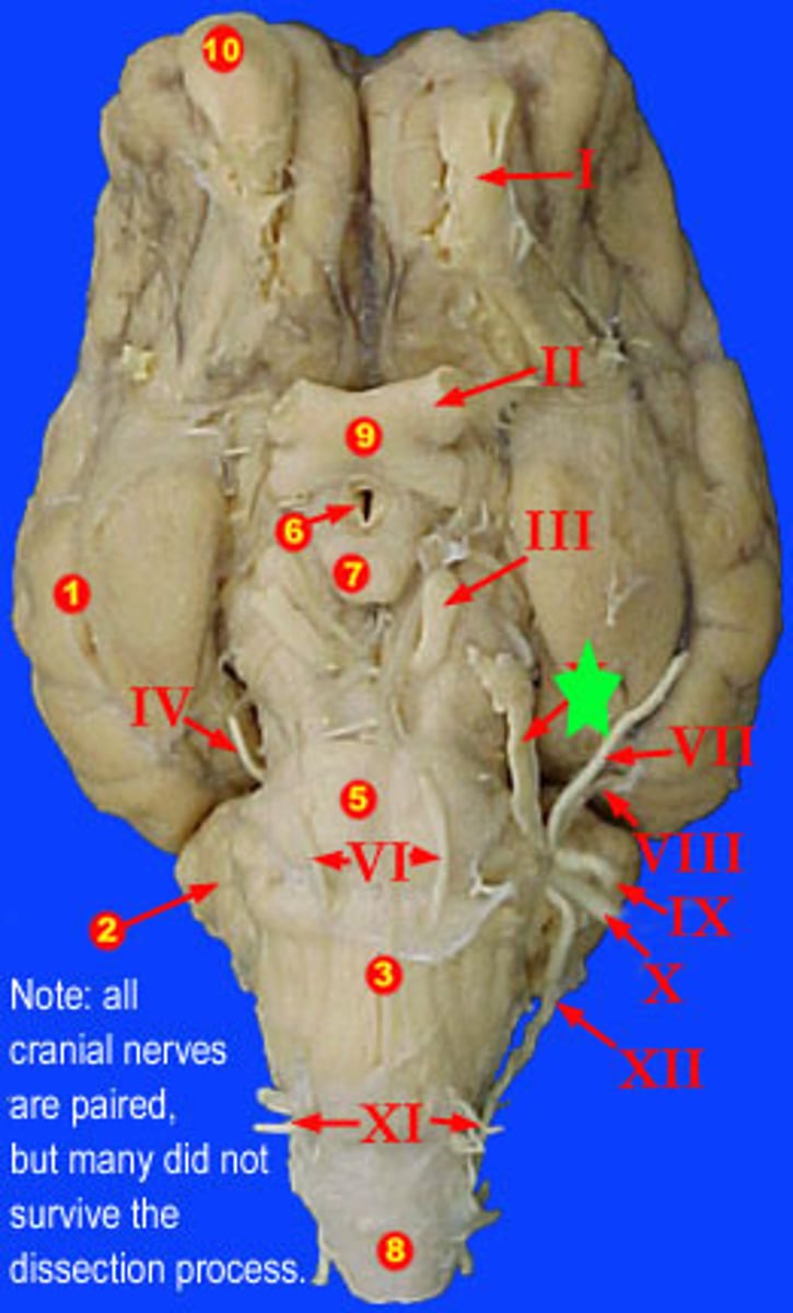 knowt flashcard image