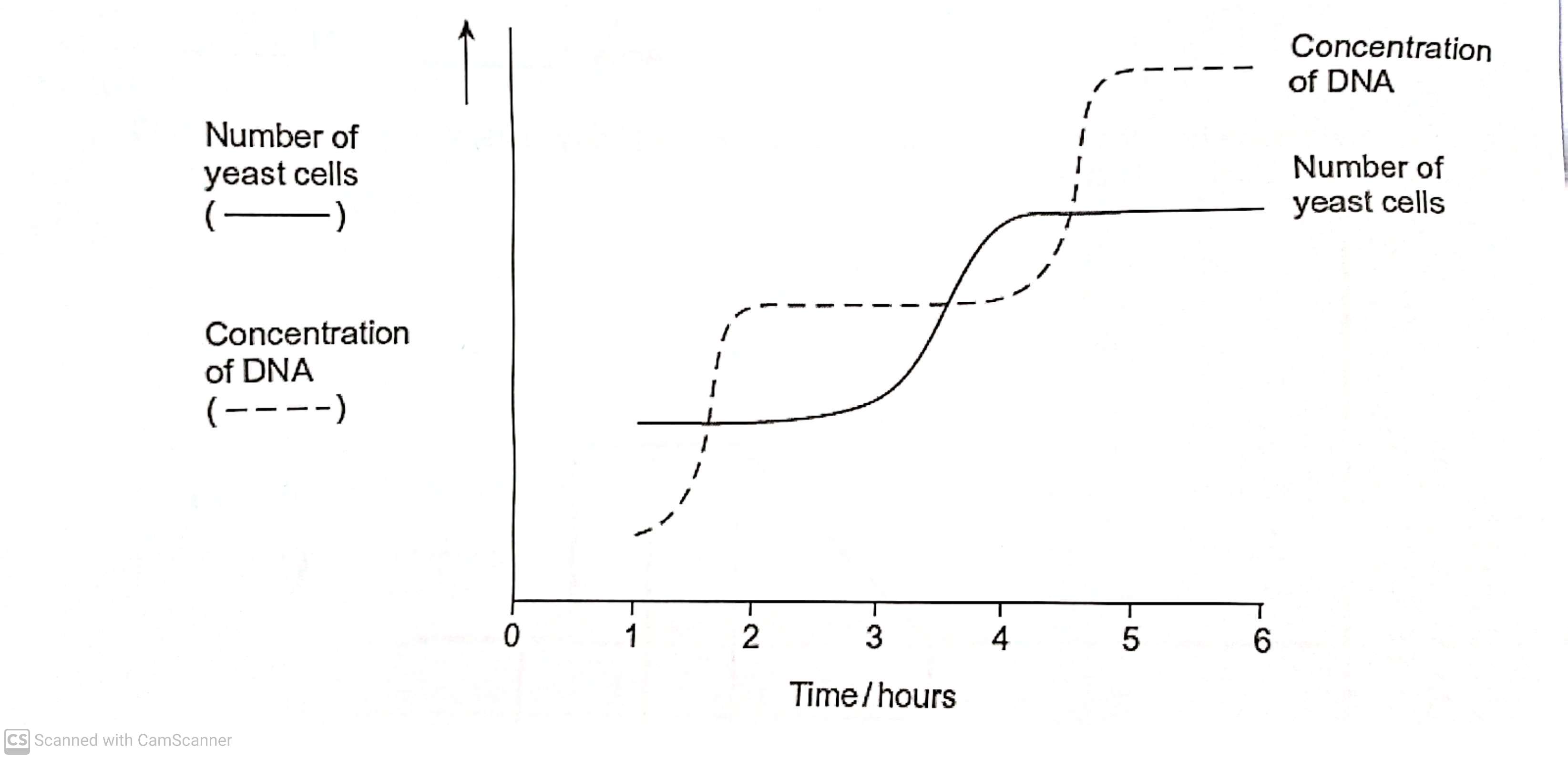 <p>Use the curve for the concentration of DNA to find the length of a cell cycle in these yeast cells. explain how you arrived at your answer (3)</p>