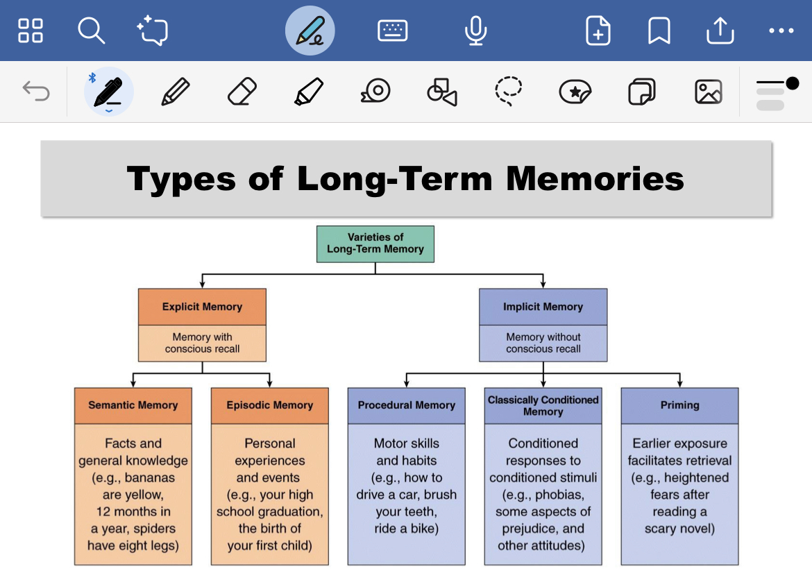 <p>Explicit Memory – memory that a person can consciously bring to mind (e.g., home address or date of birth)</p><p>Implicit Memory – memory that a person is not consciously aware of, such as learned motor behaviours, skills, and habits (e.g., riding a bike)</p>