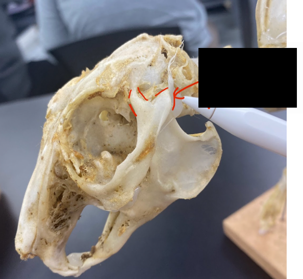 <p>What part is this </p>
