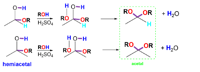 <ul><li><p>will react with 1 mole of alcohol and acid to form an acetal</p></li></ul>