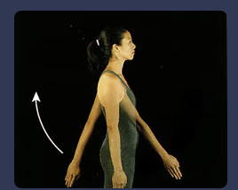 moving from a resting position of the arm to behind the body