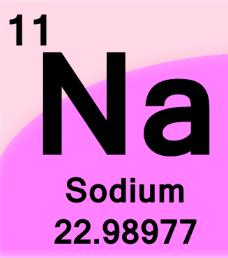 <p>11th Element</p>