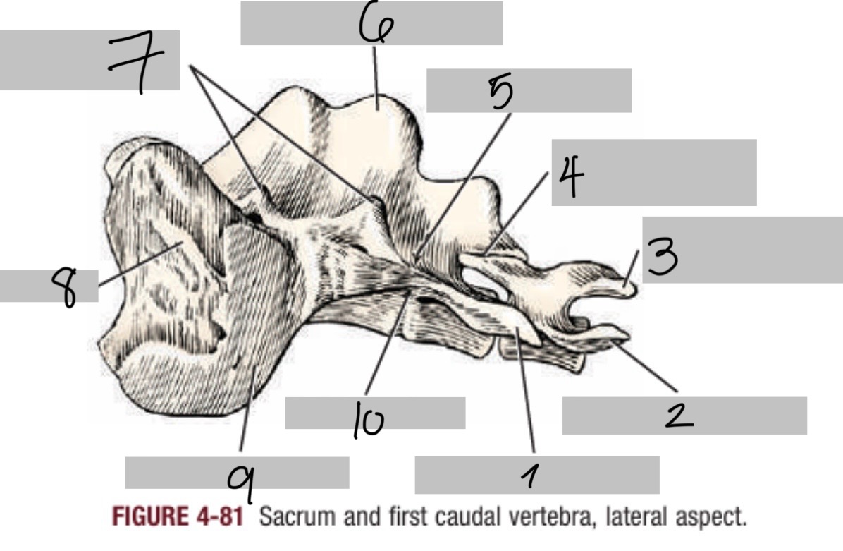 <p>8</p>