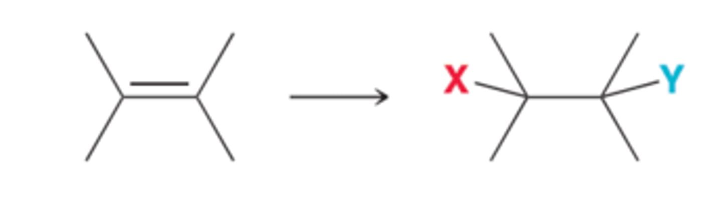 <p>Addition reactions are characterized by two groups adding across a double bond</p>
