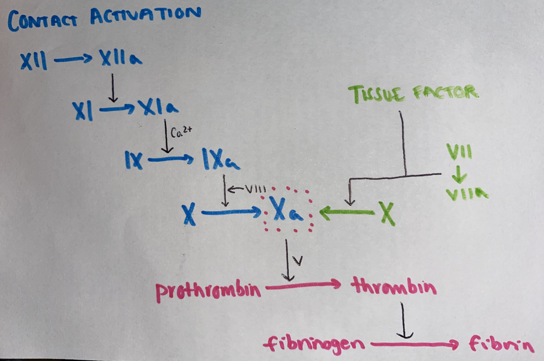 knowt flashcard image