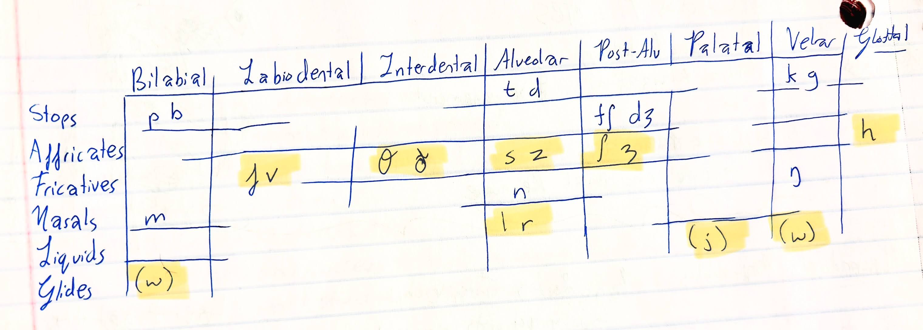 <p>Which natural class defines these sounds?</p>