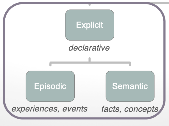 <p>what is it </p><ul><li><p>2 types: <strong>episodic</strong> → experiences/events </p><ul><li><p><strong>semantic</strong> → facts/concepts </p></li></ul></li></ul><p></p>