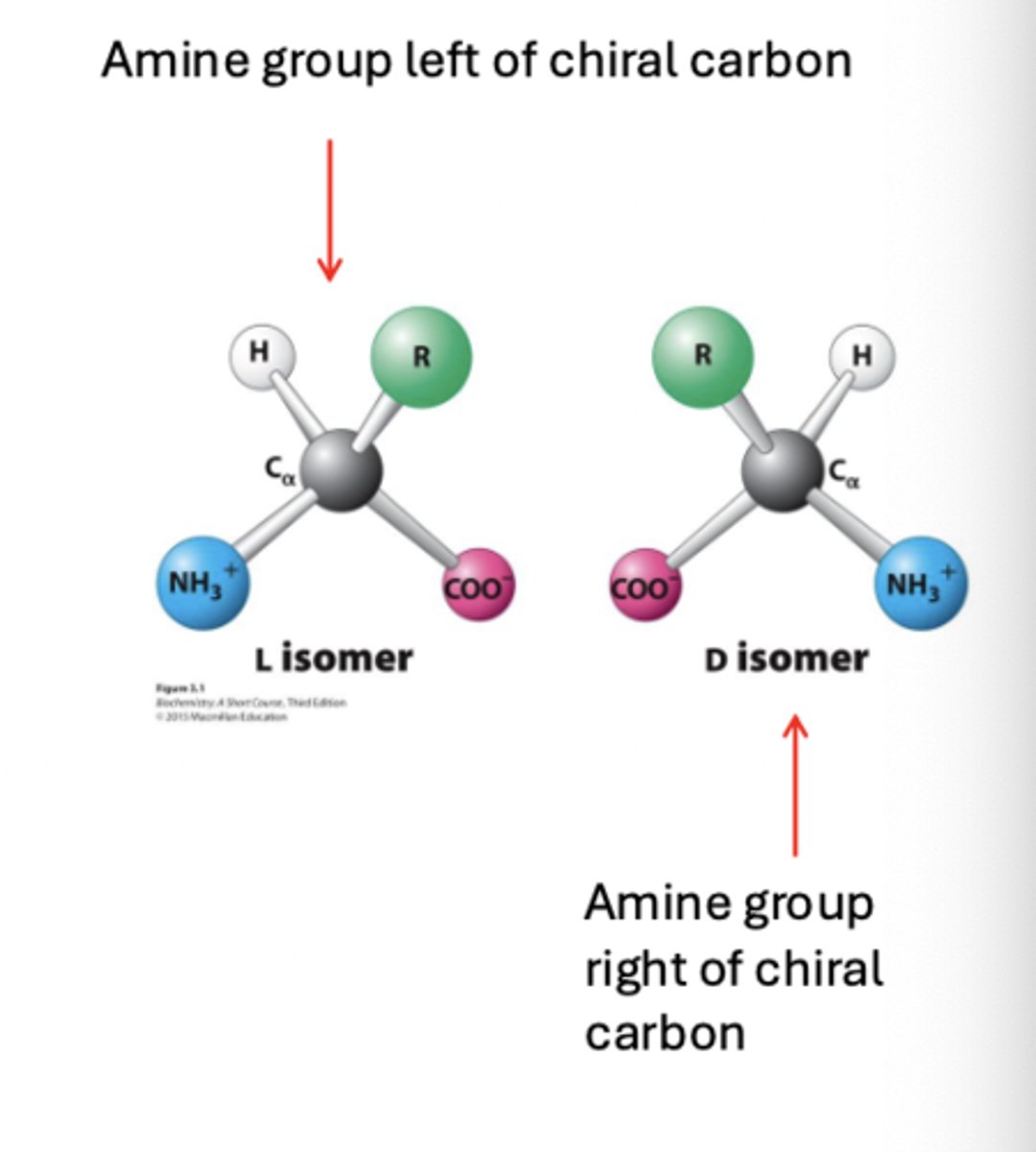 <p>same chemical formula but differ in spatial arrangement / structure</p>