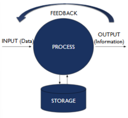 <ul><li><p><span style="background-color: transparent;"><span>Input</span></span></p></li><li><p><span style="background-color: transparent;"><span>Process</span></span></p></li><li><p><span style="background-color: transparent;"><span>Output</span></span></p></li><li><p><span style="background-color: transparent;"><span>Store</span></span></p></li><li><p><span style="background-color: transparent;"><span>Feedback</span></span></p></li></ul><p></p>
